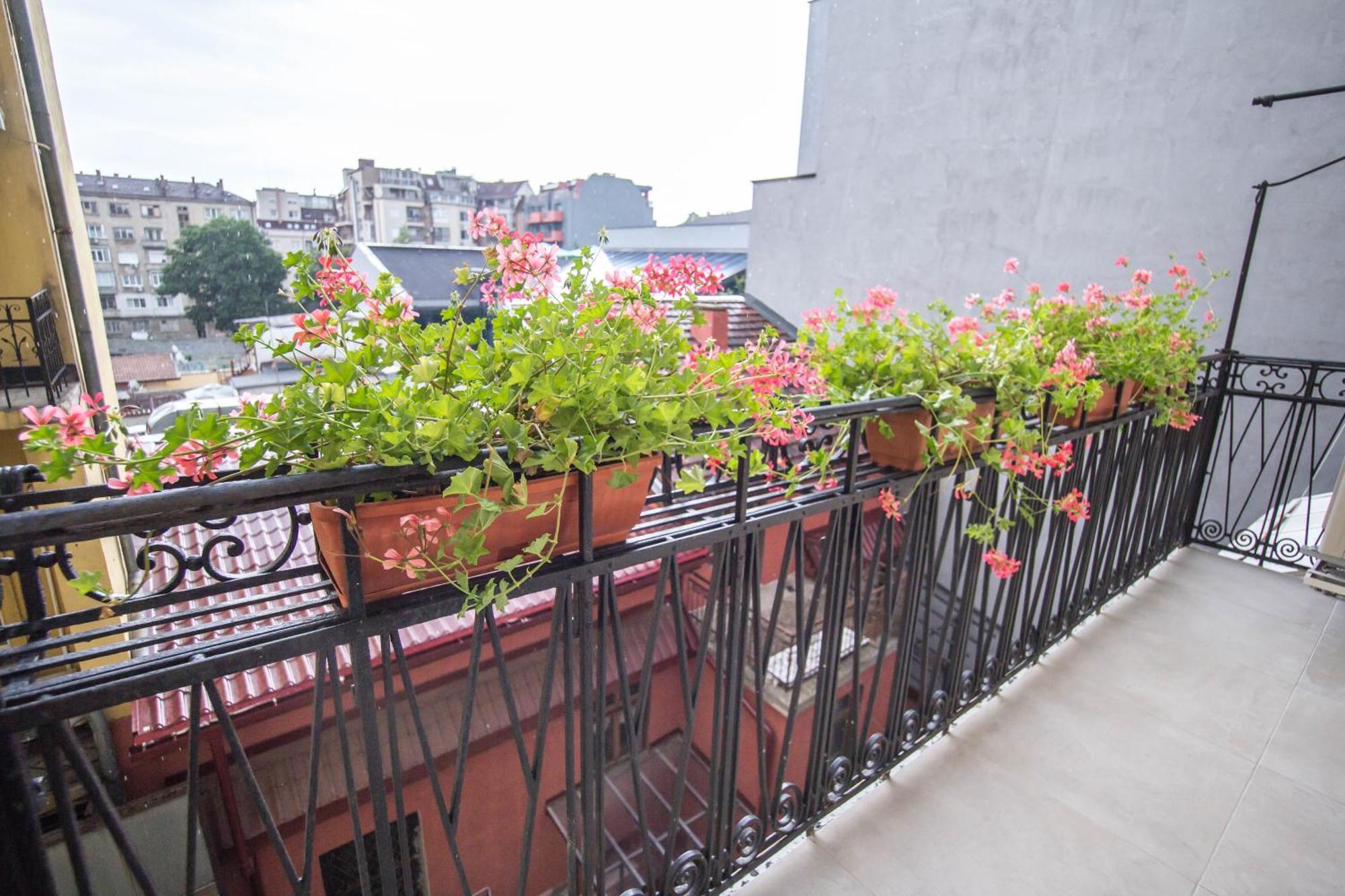 Lion'S Bridge Boutique 2Bdrm Apt, Top Center Gem 索菲亞 外观 照片